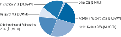 Uses of Endowment Pie Chart